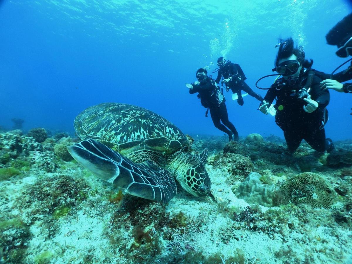 Stay Liuqiu Diving Hostel Сяолюцю Экстерьер фото