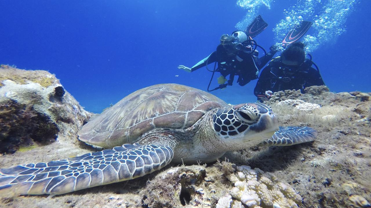 Stay Liuqiu Diving Hostel Сяолюцю Экстерьер фото